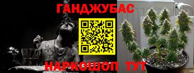 прущие грибы Комсомольск-на-Амуре