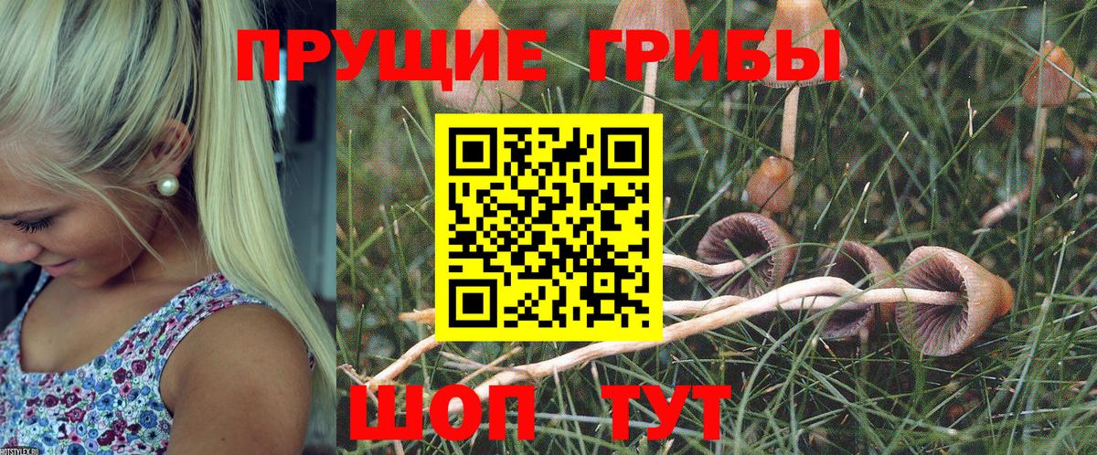 Галлюциногенные грибы Magic Shrooms  Вход с VPN  Псилоцибиновые грибы мухоморы  Кувандык 